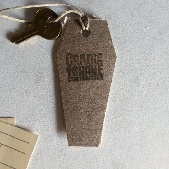 NEW HALLOWEEN GOTHIC ODDITY PROP VINTAGE UNDERTAKER MEDICAL BAG & SKELETON ARM - Picture 12 of 12